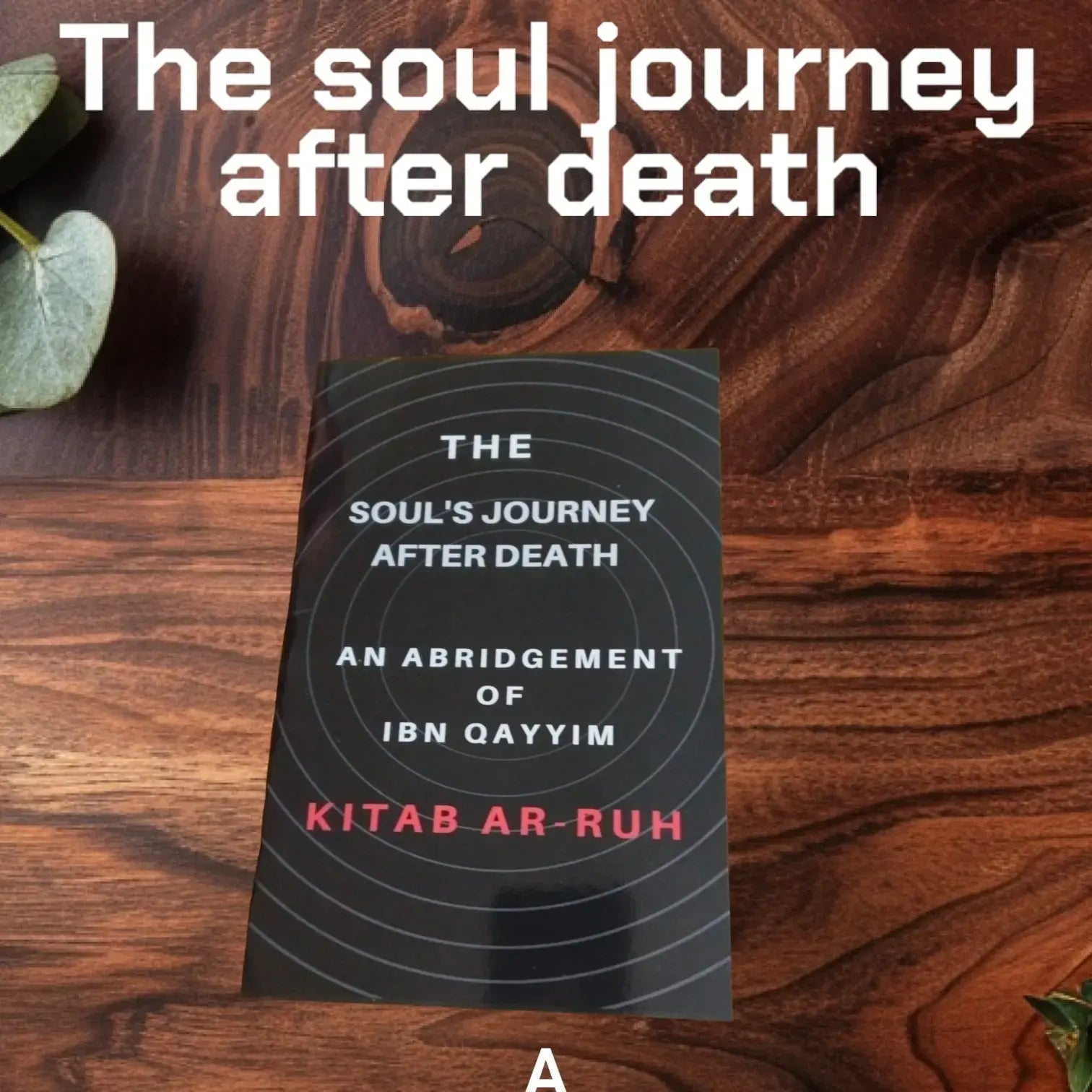 The Soul Journey After Death By Ibn Qayyim An Abridegement of Kitab Ar Ruh