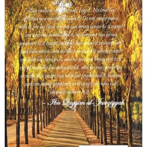 The Saying Of Ibn Qayyim Al Jawziyyah